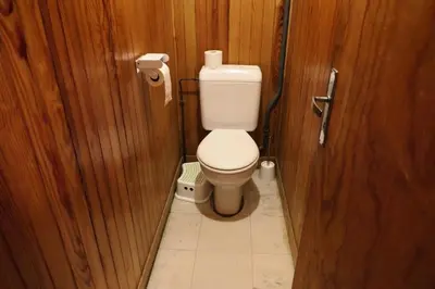 a bathroom with a toilet in a wooden wall at Chalet Le Bionnassay - Chalet le Bionnassay MAE-8134 in Saint-Gervais-les-Bains