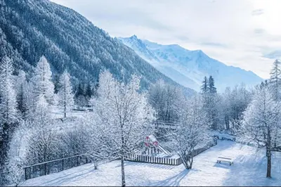 a view of a snowy mountain with a bench and trees at Bel Apt Near The Slopes Argentiere in Chamonix-Mont-Blanc