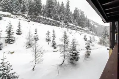 a snow covered field with trees and trees at Newly redecorated 2-bed ski-in ski-out family apartment in Flaine