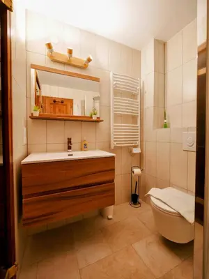 a bathroom with a sink and a toilet at Happy Moose - Cosy Mont Blanc View apartment with sauna in Chamonix-Mont-Blanc