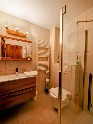 a bathroom with a toilet and a sink and a shower at Happy Moose - Cosy Mont Blanc View apartment with sauna in Chamonix-Mont-Blanc