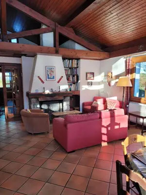 a living room with two couches and a fireplace at Chalet LE TRIOLET in Chamonix-Mont-Blanc