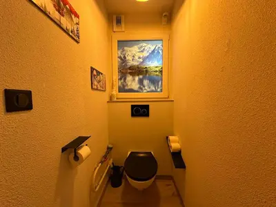 a bathroom with a toilet and a picture of a mountain at Appartement 6 personnes avec balcon proche jardin d'enfants - FR-1-642-62 in Morillon