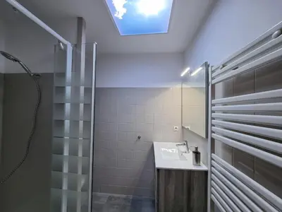 a bathroom with a shower and a sink and a skylight at Vintage chic -central, wifi, mountain view-BelleVue3 in Les Carroz d'Araches
