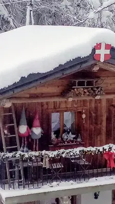 a wooden house with snow on the roof at Calme et sérénité - établissement classé in Sixt