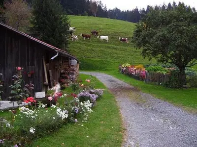 a dirt road next to a barn with flowers and cows at La Tour in Combloux