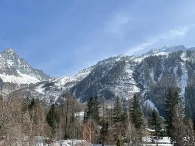 a snow covered mountain with trees in the foreground at Résidence Grand Roc - Bruyères 20 in Chamonix-Mont-Blanc