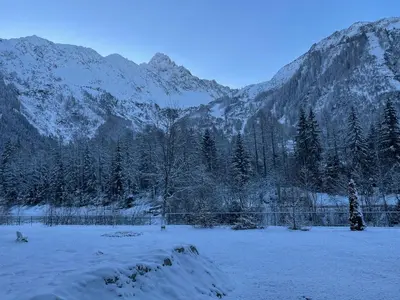 a snow covered field with trees and mountains at Résidence Grand Roc - Bruyères 20 in Chamonix-Mont-Blanc