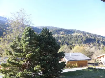 a large pine tree in front of a cabin at Chalet Santa Claus - Chalet Santa Claus MAE-7284 in Les Contamines-Montjoie
