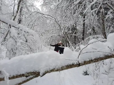 a person standing in the snow in the woods at Chalet la corne du chamois in Sixt
