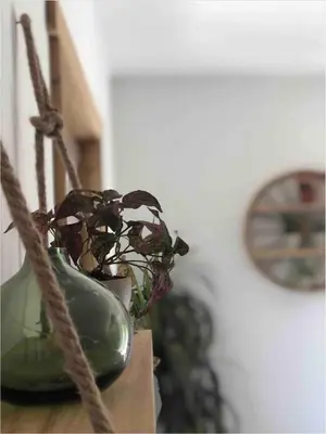 a green vase sitting on a table with a plant at Chalet Mirador appartement vue panoramique SITUÉ À 25 kms de CHAMONIX in Saint-Gervais-les-Bains