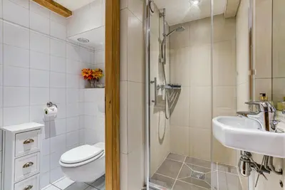 a bathroom with a shower and a toilet and a sink at Chalet Tissières in Chamonix-Mont-Blanc