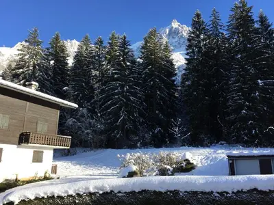 a snow covered yard with a house and trees at Appartement cosy au pied du MtBlanc in Chamonix-Mont-Blanc