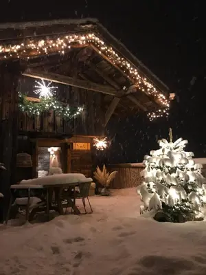 a christmas tree in the snow in front of a cabin at Charmant Mazot Le 1881 4 pers in Demi-Quartier