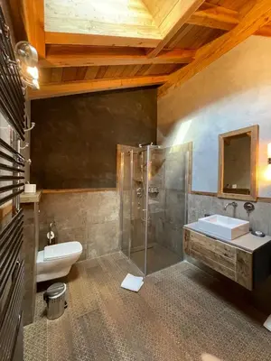 a bathroom with a shower and a sink and a toilet at chalet Polar in Chamonix-Mont-Blanc