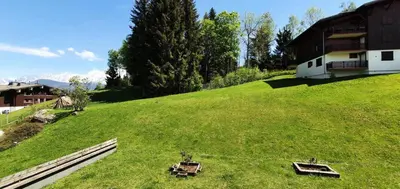 a large grassy hill with two plants on it at Résidence Ecrin Des Glaciers Daim - Ecrin des Glaciers D41 MAE-6334 in Combloux