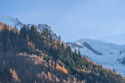 a mountain with trees and snow on it at Chamonix Sud studio with Mont Blanc views in Chamonix-Mont-Blanc