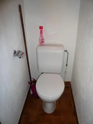 a bathroom with a toilet with a bottle on top of it at Résidence Princesse En Etraz Narcisse - Princesse en Etraz N34 MAE-2284 in Combloux