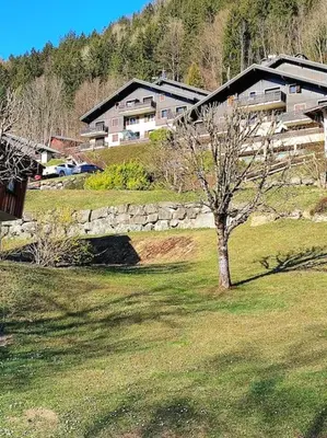 a tree in a field in front of a house at Studio & piscine intérieure, vue Mont D'Arbois in Saint-Gervais-les-Bains