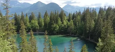 an aerial view of a lake in the middle of a forest at Le Flory'lège in Saint-Gervais-les-Bains