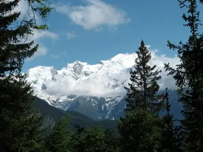 a snow covered mountain with trees in the foreground at Le Flory'lège in Saint-Gervais-les-Bains