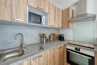 a kitchen with wooden cabinets and a stainless steel sink at Le Petit Balcon avec vue sur le Mont-Blanc in Chamonix-Mont-Blanc