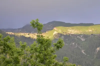 a view of the mountains with a tree in the foreground at DOMAINE DU GRAND TETRAS SAMOENS in Samoëns