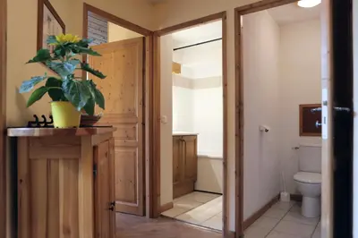 a bathroom with a toilet and a potted plant at Saint-Gervais apartment next to Bettex ski lift in Saint-Gervais-les-Bains