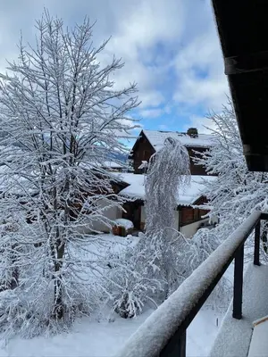 a tree covered in snow next to a fence at Megève - Chalet Yack - Premium jusqu'à 15 pers in Megève