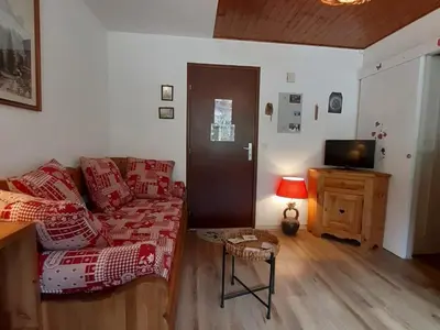 a living room with a couch and a television at T2 calme avec parking et wifi à Chamonix - FR-1-517-64 in Chamonix-Mont-Blanc