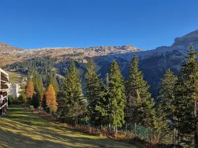 a hillside with trees and mountains in the background at Appartement spacieux au centre, balcon, parking couvert - FR-1-425-124 in Flaine
