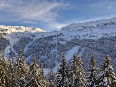 a snowy mountain with trees and snow covered mountains at Appartement spacieux au centre, balcon, parking couvert - FR-1-425-124 in Flaine