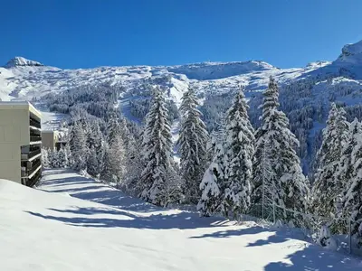 a group of trees covered in snow on a mountain at Appartement spacieux au centre, balcon, parking couvert - FR-1-425-124 in Flaine