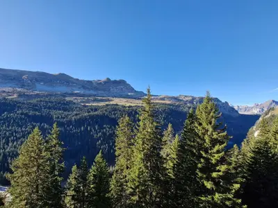a group of trees with mountains in the background at Appartement spacieux au centre, balcon, animaux acceptés - FR-1-425-130 in Flaine