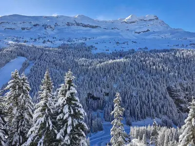 a view of a snowy mountain with trees and mountains at Appartement spacieux au centre, balcon, animaux acceptés - FR-1-425-130 in Flaine
