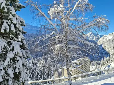 a tree covered in snow next to a fence at Appartement lumineux au pied des pistes avec WIFI gratuit - FR-1-425-145 in Flaine