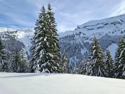 a group of pine trees on a snow covered mountain at Studio rénové au centre de Flaine avec balcon pour 5 personnes - FR-1-425-154 in Flaine