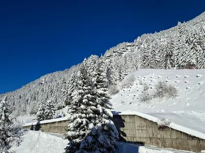 a snow covered mountain with a building and a tree at Appartement confortable proche des pistes avec casier à ski - FR-1-425-153 in Flaine