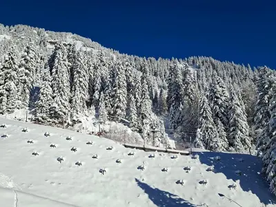 a snow covered hill with trees on a mountain at Appartement confortable proche des pistes avec casier à ski - FR-1-425-153 in Flaine
