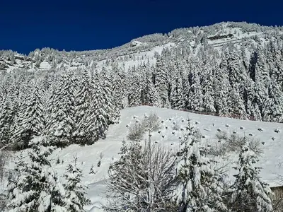 an aerial view of a snow covered mountain with trees at Studio rénové pour 4 pers, proche des pistes à Flaine - FR-1-425-167 in Flaine