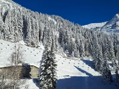 a cabin on a snow covered mountain with a tree at Studio rénové pour 4 pers, proche des pistes à Flaine - FR-1-425-167 in Flaine