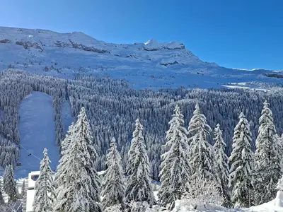 a group of trees covered in snow with a mountain at Studio rénové avec balcon proche des pistes, casier à ski - FR-1-425-156 in Flaine
