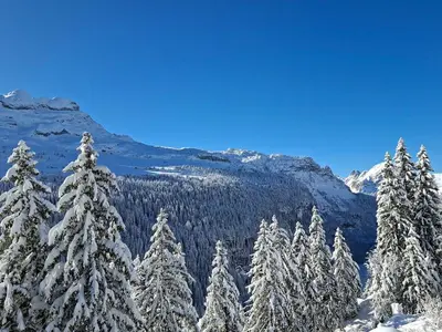a group of snow covered trees in the mountains at Appartement Sud Confort 4-5 pers, Balcon, Proche pistes - FR-1-425-173 in Flaine