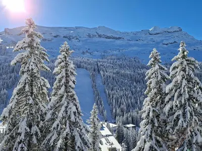 a group of pine trees covered in snow at Appartement Sud Confort 4-5 pers, Balcon, Proche pistes - FR-1-425-173 in Flaine