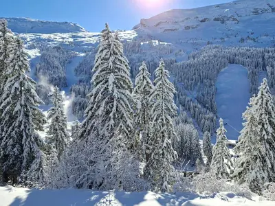 a group of snow covered trees on a mountain at Appartement Sud Confort 4-5 pers, Balcon, Proche pistes - FR-1-425-173 in Flaine