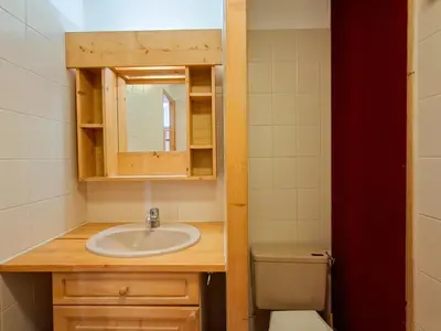 a bathroom with a sink and a toilet at Studio confortable au centre station avec terrasse, animaux admis - FR-1-425-181 in Flaine