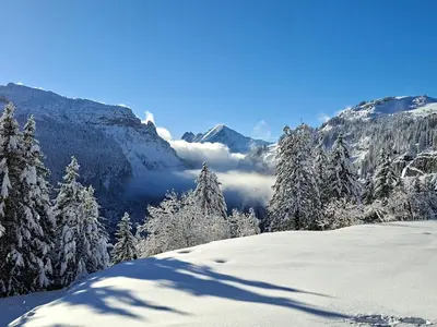 a snow covered mountain with trees and clouds in the background at Studio cabine confortable à Flaine, balcon sud, proche pistes - FR-1-425-171 in Flaine