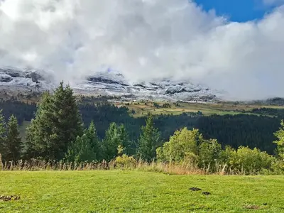 a sheep in a field with a snow covered mountain at Studio confortable avec balcon au centre de Flaine - FR-1-425-174 in Flaine