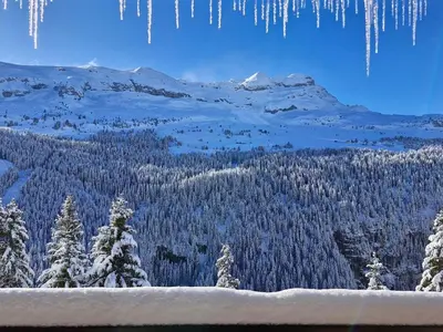 a view of a snow covered mountain with trees and icicles at Appartement confortable avec balcon et parking couvert - FR-1-425-143 in Flaine