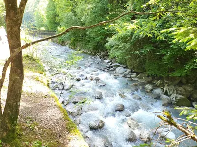 a stream of water with rocks and trees at Appartement dans châlet avec piscine couverte in Saint-Gervais-les-Bains